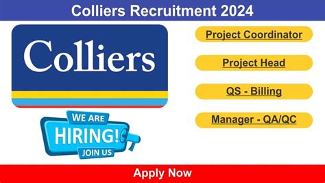 Colliers Recruitment 2024 Hiring For Project Coordinator Project