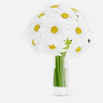 Daisies In Glass Vase D Model By Cgaxis