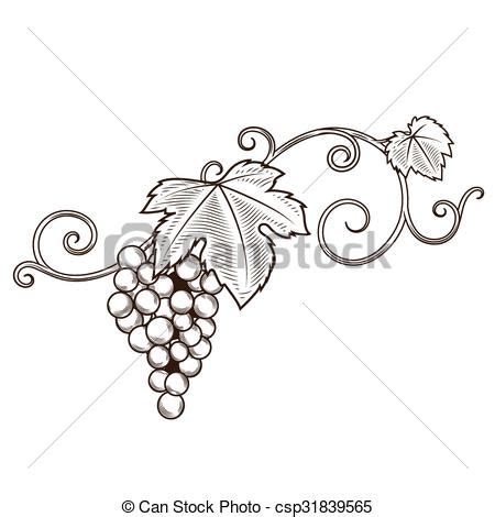 clipart vine and branches 20 free Cliparts | Download images on ...