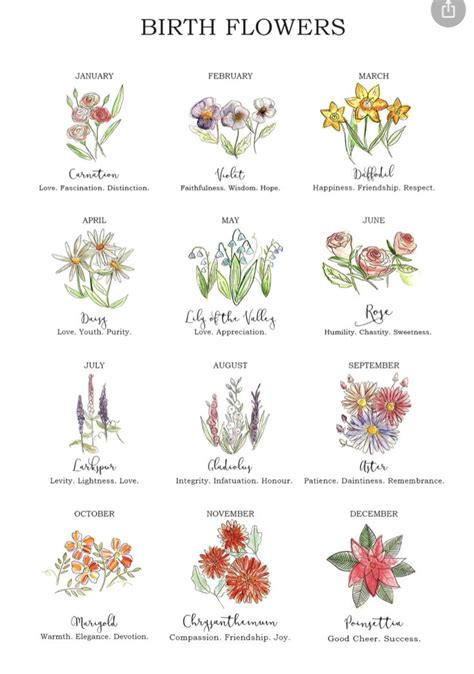 Pin By Julia Brigid On Quotes Birth Flowers Birth Flower Tattoos