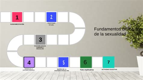 Fundamentos Biológicos De La Sexualidad By Cristina Valladares On Prezi