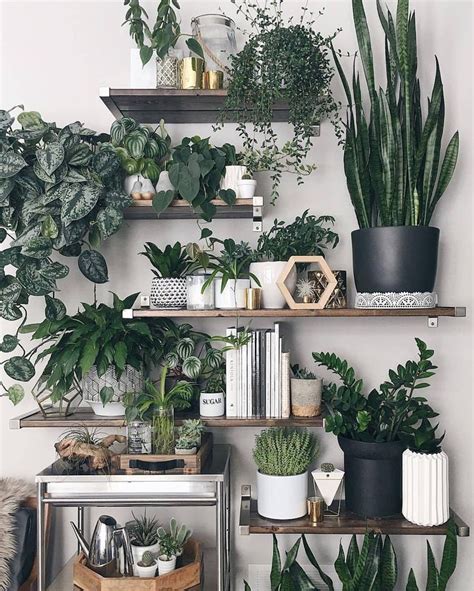 Best Indoor Plants Arrangements Images On Pinterest Succulents