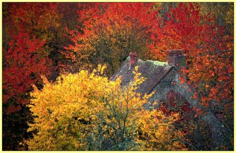 Couleurs d automne Communauté de communes de Puisaye Forterre