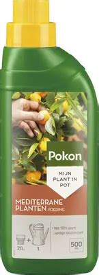 Pokon Mediterrane Planten Voeding Ml Kopen Tuincentrum Osdorp