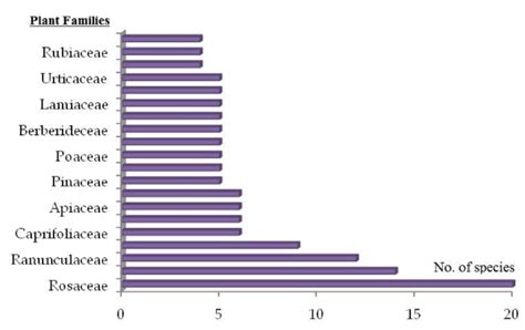 Graph Showing Most Represented Plant Families Based On Number Of