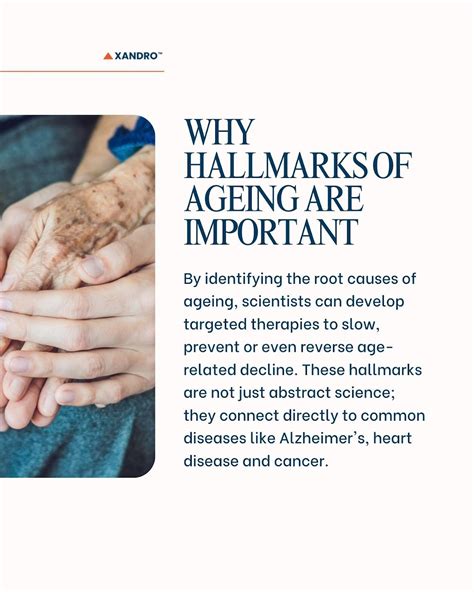 What Are the Hallmarks of Ageing? Key Markers and Their Importance