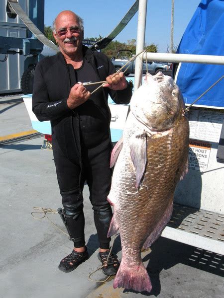 Record Black Drum