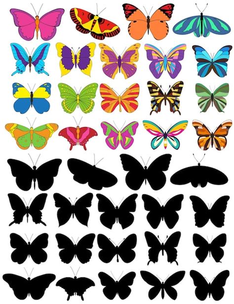 Conjunto De Hermosas Mariposas Multicolores Y Silueta Vector Premium