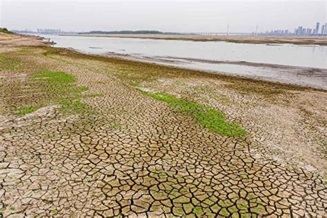 中共暫緩退耕還林措施 分析：應對糧食危機 中國 長江流域 乾旱 大紀元