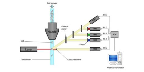 Single And Multi Line Lasers For Flow Cytometry HÜbner Photonics