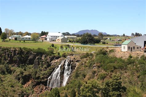 "Waratah Tasmania" by John McNair | Redbubble