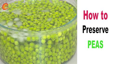 How To Store Green Peas Receipe In English Preserve Green Peas Frozen