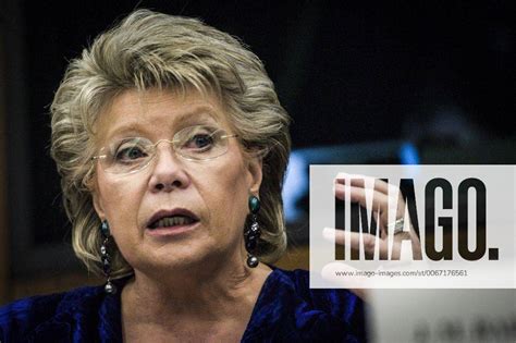 March 11 2014 Strasbourg Bxl France Viviane REDING Vice