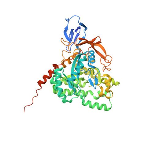RCSB PDB - 6JVB: Crystal Structure of Human CRMP2 1-532, AGE-modified 