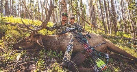 Bowhunting Elk On Public Ground — Have Heart Grand View Outdoors