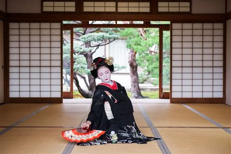 Differences between Geisha and Maiko | Japan Guide | Kyuhoshi