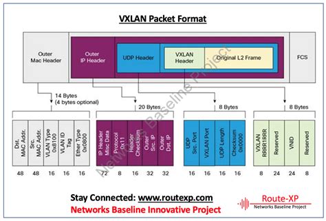 Vxlan Encapsulation And Packet Format Route Xp Private Network Services