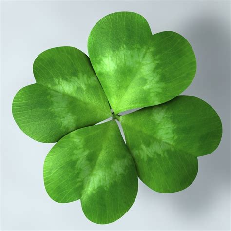 Four Leaf Clover 3d Model Cgtrader