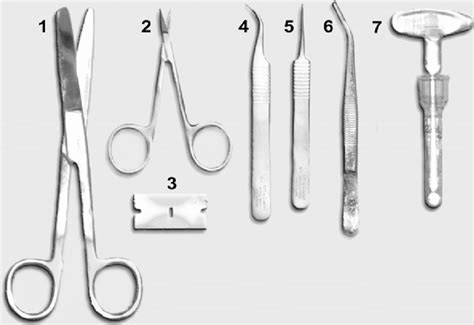 Tools. (1) Blunt-blunt tip straight student surgical scissors; (2)... | Download Scientific Diagram