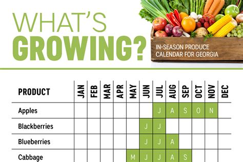 Georgia Vegetable Planting Calendar