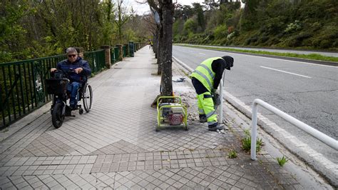 La Cuesta De Beloso De Pamplona Se Prepara Para La Tala Masiva De