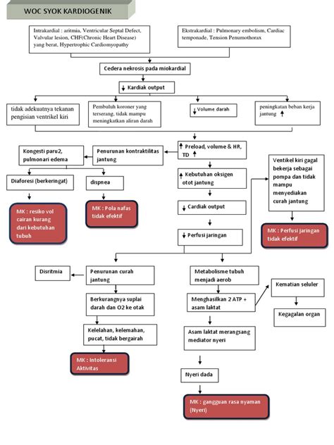Woc Syok Kardiogenik Pdf