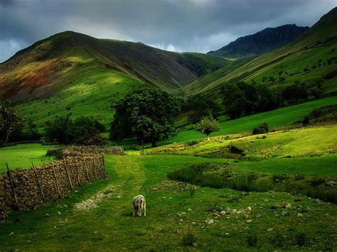 Hillside Scotland Nature Scotland Landscape Green Mountains Hd