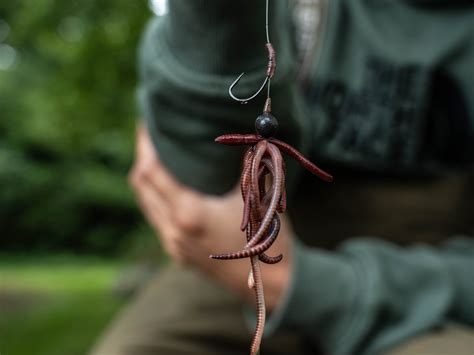 Mastering Worm Rigs Your Step By Step Guide To Hooking Success