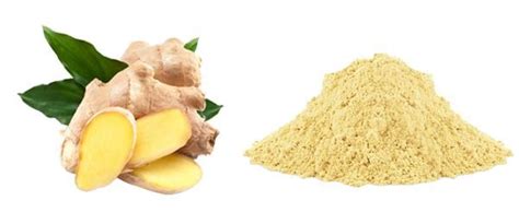 Ginger Root Extract Powder Ysg