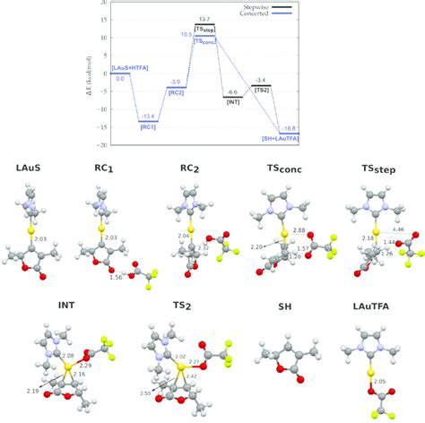 Top Reaction Energy Profiles For The Model Reaction In Scheme 2