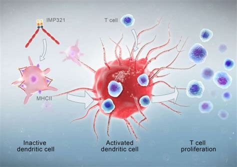 Immune System Animation