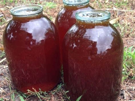 Мёд Каштан-черноклён в интернет-магазине на Ярмарке Мастеров | Мед ...