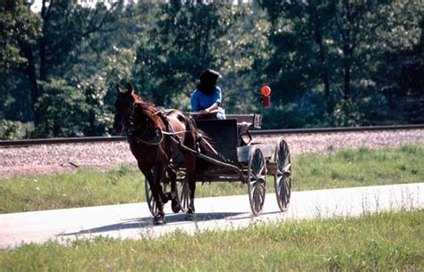 How Do Amish and Mennonite Women Differ? – Amish Rules