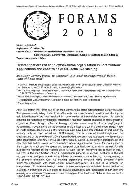 Pdf Different Patterns Of Actin Cytoskeleton Organisation In