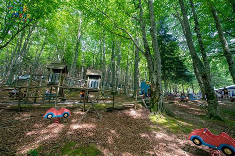 Camping Il Ceppo Abruzzo Camping