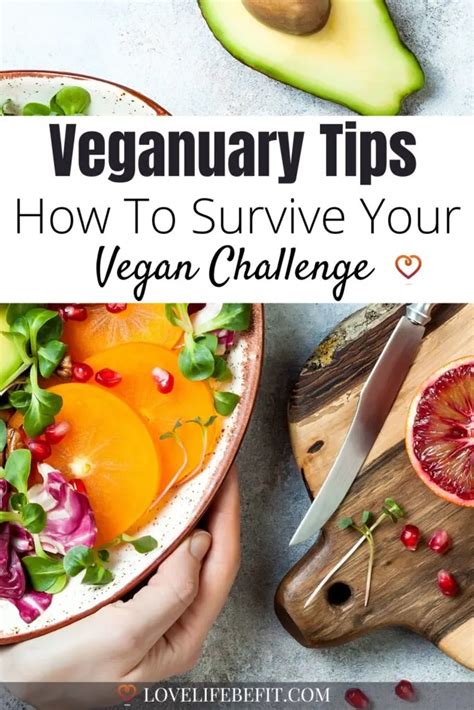 Veganuary 2024 Top Tips To Survive Your Vegan Challenge Love Life Be Fit