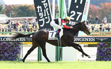 【毎日ベスト3】先週の強かった2歳馬ベスト3 毎日ベスト3 競馬コラム写真ニュース 日刊スポーツ