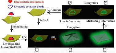 A 3D Multistage Information Encryption Platform With Self Erasure