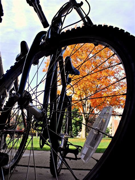 Spoked View Bikes Parked In Front Of Orr Auditorium Wcn Flickr