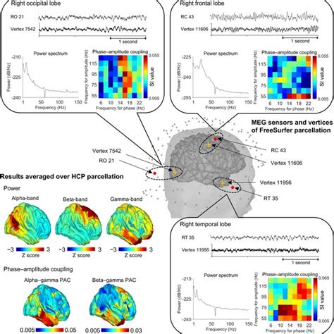 Evaluation Of Phase Amplitude Coupling PAC Determined From MEG