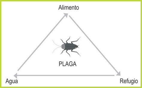 Inocuidad y Gestión Alimentaria Aliar Gestiona