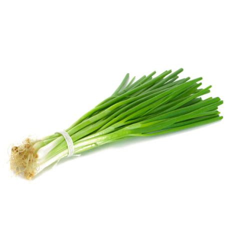 Green Onion Wah Teng Produce Ltd