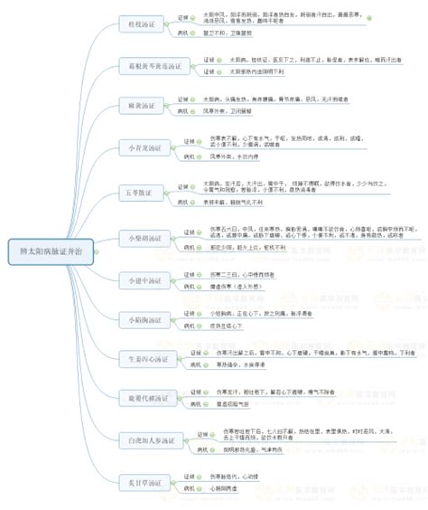 2024中医执业医师考试备考 重要知识点思维导图：疖的治法