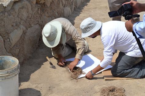 Un-Knotting the Past: a New Khipu Archive at Inkawasi, Peru ...