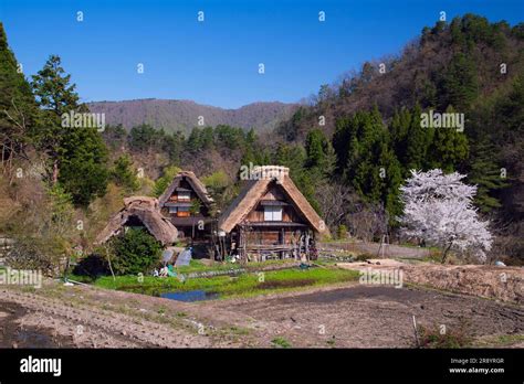 Shirakawa-go Gassho Village in Cherry Blossom Stock Photo - Alamy