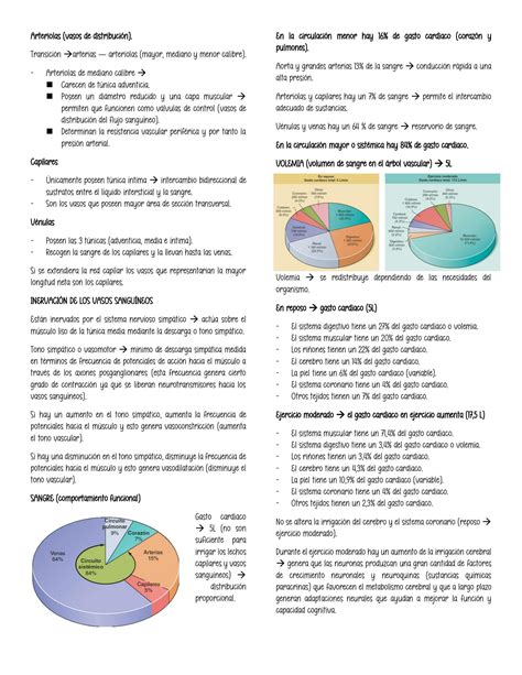 SOLUTION Circulación sanguínea Studypool