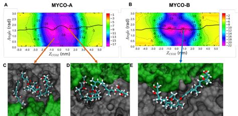 2D Free Energy Profiles Of The Permeation Of A Mycolactone A And B