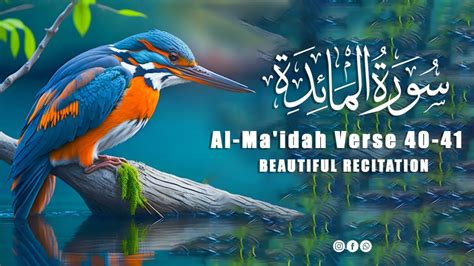 Beautiful Recitation Surah Al Maidah Full With Arabic Text HD 05