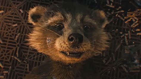 Guardians of the Galaxy: Why Rocket denies being a Raccoon - Explained