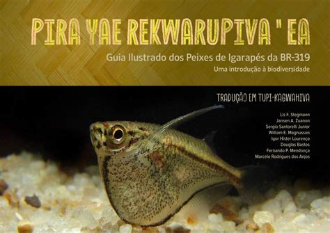 Peixe Em Tupi Guarani - Guia Ilustrado de Peixes de Igarapés da BR-319 em Tupi-Kagwahiva ...